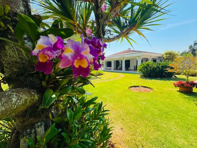 Chácara com 5 quartos à venda, 31000 m² por R$ 2.150.000 - Vila Belo Horizonte - Itapetini