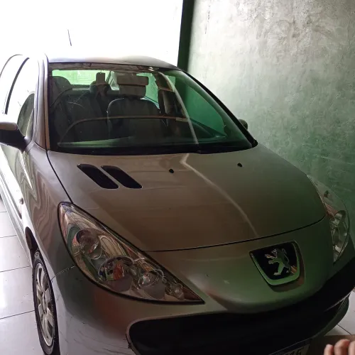 Peugeot 207 XR Sport 1.4 Flex 8V 5P 2009