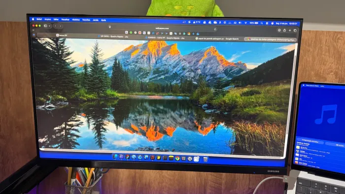 Monitor Samsung 24 pol LED IPS FHD