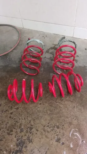 Molas esportivas 