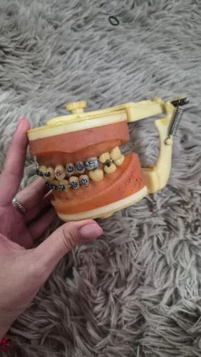 Manequim odontológicos Proden