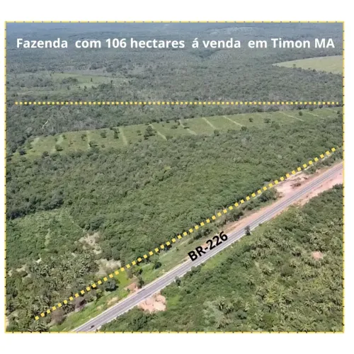 Fazenda á venda com 106 hectares entre Caxias e Timon, na BR-226, dupla aptidão