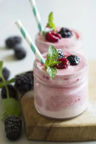Grãos de Kefir de Leite Frescos - 50 g