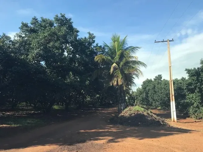 Área para condomínio em Jardinópolis | Aqui na Imobiliária Rosa e Rangel