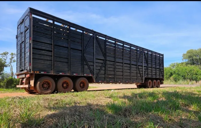 Carreta boiadeira 