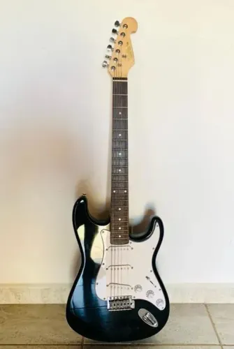 Guitarra shelter