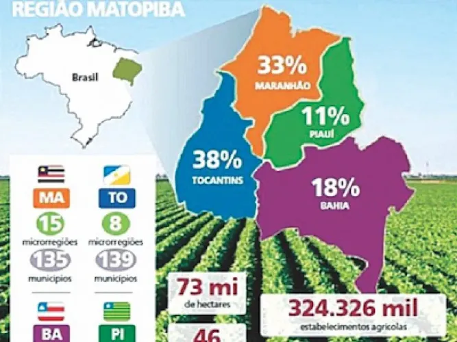 Fazenda no Sul do MA. (Prox. BATAVO). 5.895 Há
