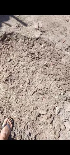 Entulho e Aterro fino.. só chamar *