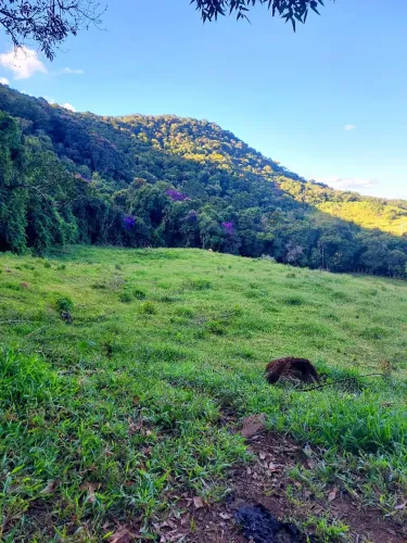 OPORTUNIDADE IMPERDÍVEL - TERRENO RURAL EM SÃO THOMÉ DAS LETRAS MG