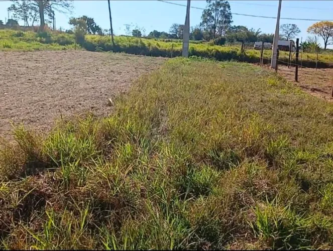 frente fundo 24,5 WhatsApp * fica rua duque caxias número 750
