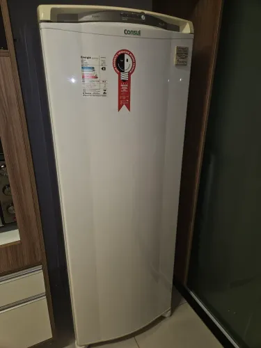 Geladeira Consul Facilite 342L Frost Free