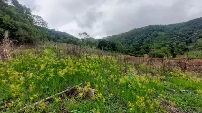 Imóvel para venda tem 21000 metros quadrados em Santa Izabel - Águas Mornas - SC