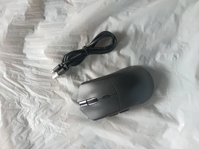 Mouse