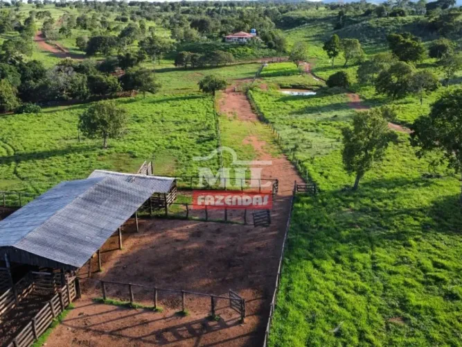 Fazenda 108 alqueires ( 522,72 hectares) Presidente Kennedy - TO