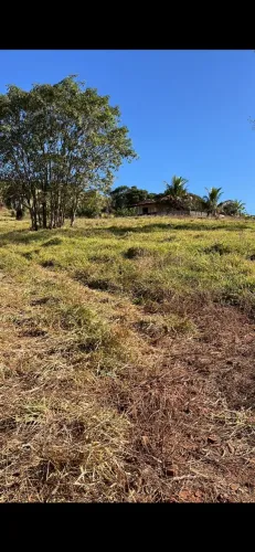 Chácara muito bem localizada VENDE-SE OU ALUGUE-SE