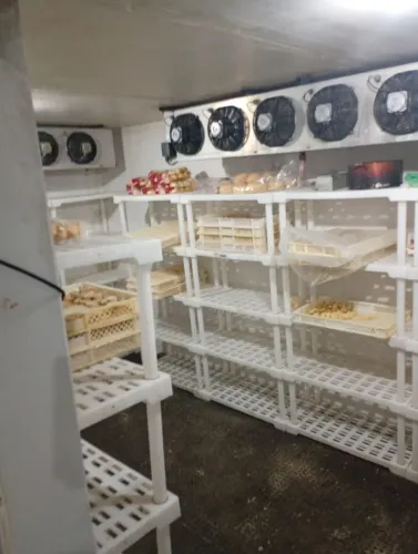 Camara Frigorífica 