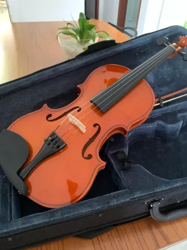 Violino