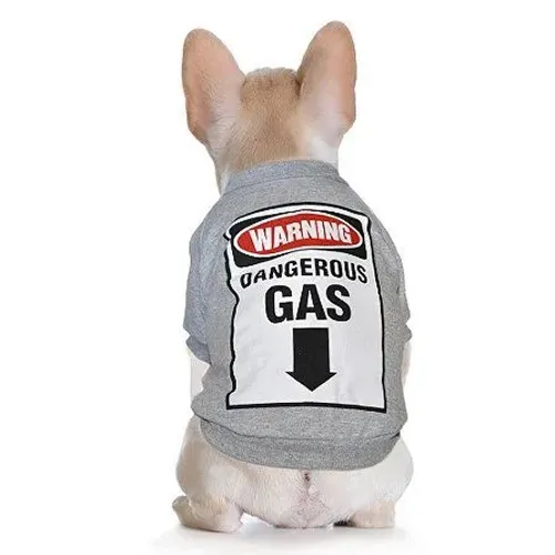 Moletom para Cachorro "GAS" - Tamanho P