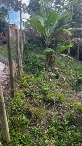 Terreno em Itacaré - Bahia