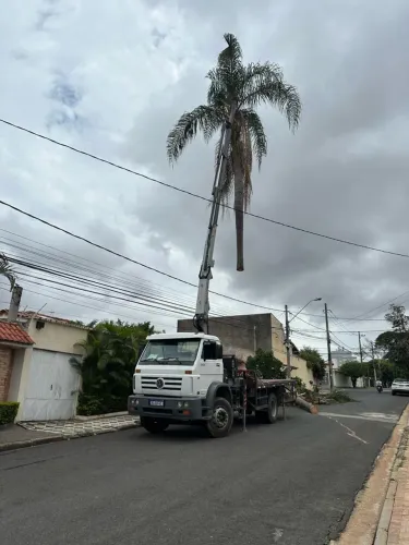 Locação de caminhão Munk e também corte de árvores profissionais