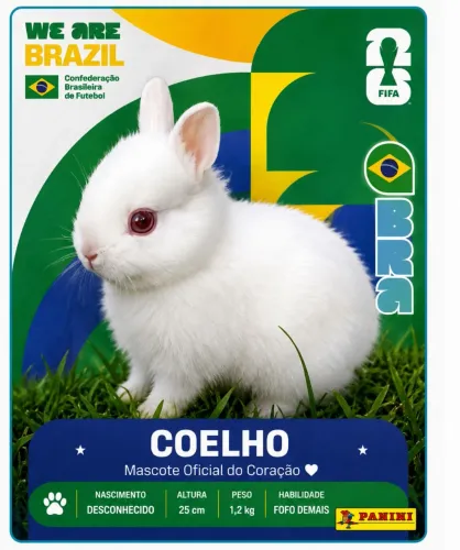 Coelho netherland 