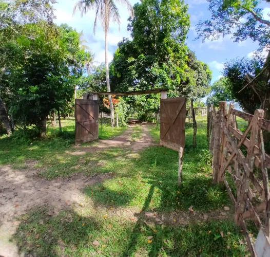 Maravilhoso Sítio ESCRITURADO vista Rio Joanes, pomares, tanques de peixe e poço artesiano