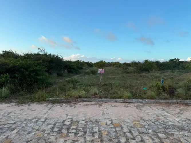 Terreno 10x50