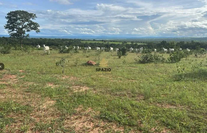 Fazenda, Aldeia, Acorizal - R$ 11 mi, Cod: 169