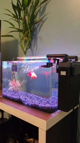Aquario 40 litros ocean tech borda curva completo