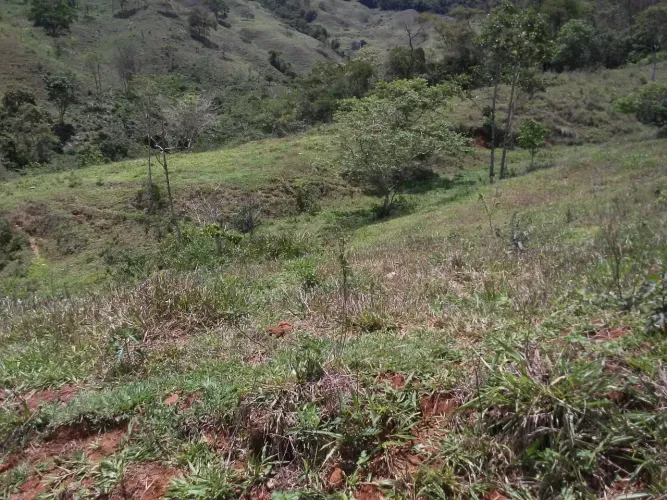 Fazenda/Sítio/Chácara para venda tem 68 metros quadrados em Centro - Antônio Dias - MG