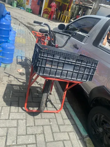 Bicicleta de Carga