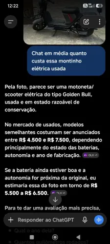 Moto elétrica Golden Bull usada