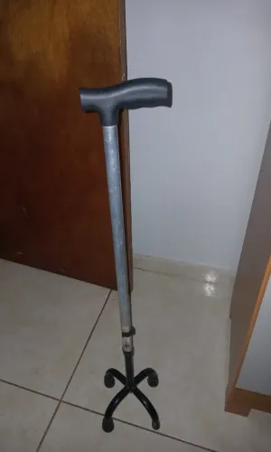 Moleta