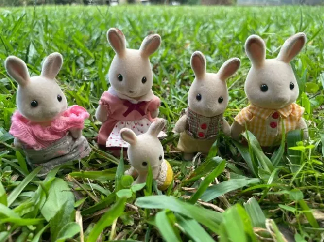 Conjunto Bonecos Sylvanian Family