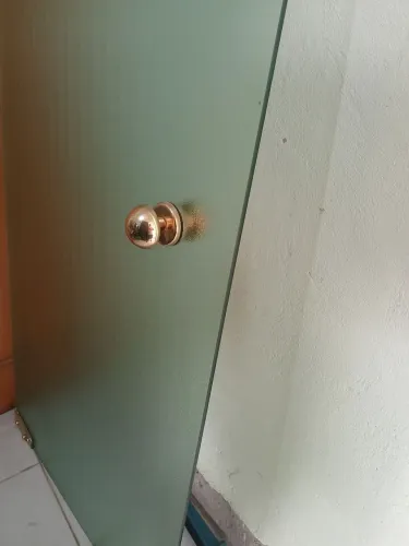Porta de vidro com mola aérea 