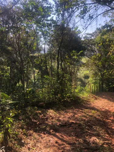 Chácara em Morro Vermelho 