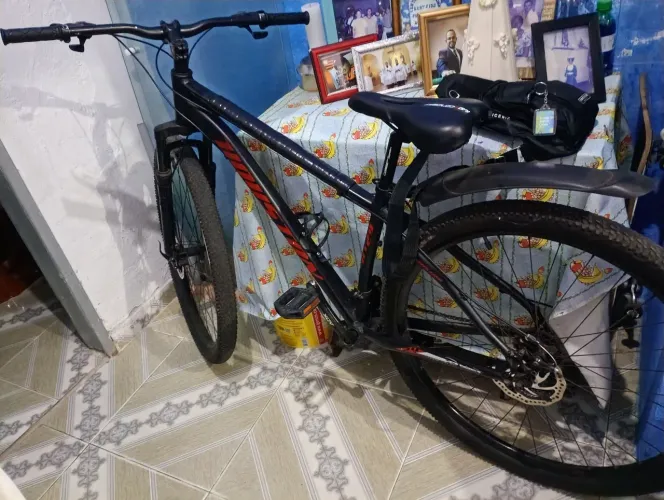 Bicicleta