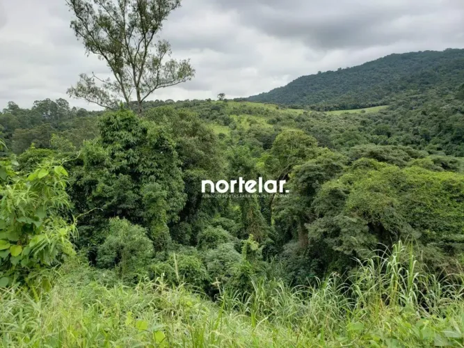 Terreno à venda, 390 m² por R$ 325.000,00 - Jardim Peri - São Paulo/SP