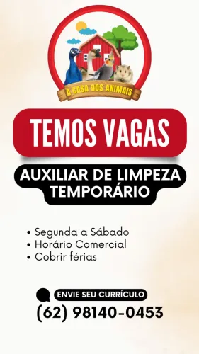 Auxiliar de limpeza - Temporário