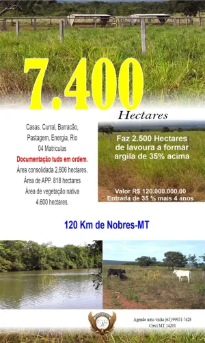 Fazenda Disponivel para Venda - Nobres-MT