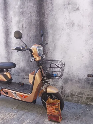 Bicicleta elétrica