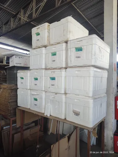Caixas de Isopor Térmica 