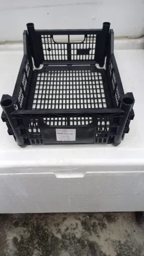 Caixa Plástica para organização  contato *60