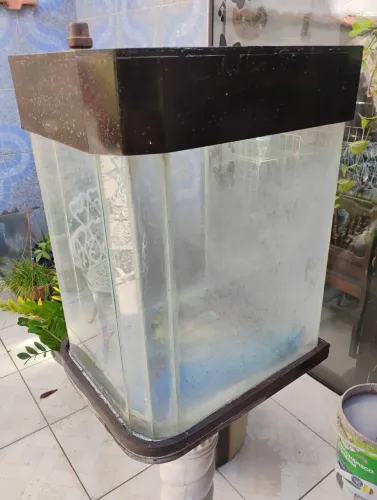 Aquário 150L
