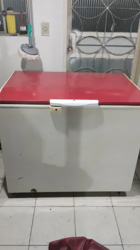 Vende-se freezer electrolux Prosdocimo  305 litros