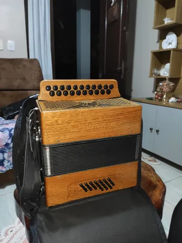 Acordeon Minuano 24 baixos 