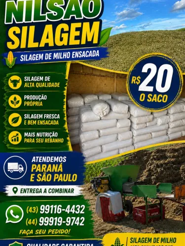 ? Silagem de Milho de Qualidade - R$ 20 o Saco