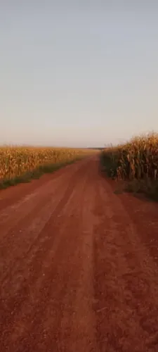 Arrendamento opção de compra 3.000 hec planta 1.380 inclui máquinas, silo em Juara MT.