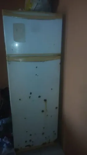 Vendo geladeira