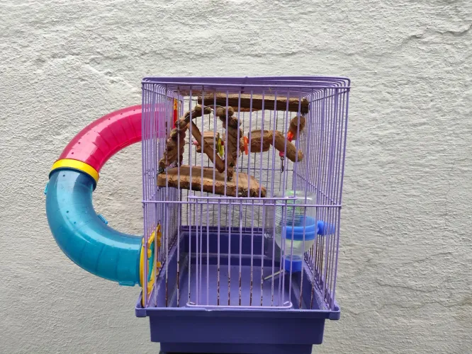 Gaiola p hamster 